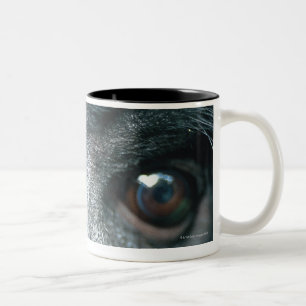 Taza Bicolor Primer del mono