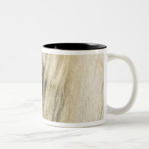 Taza Bicolor Primer del ojo del caballo