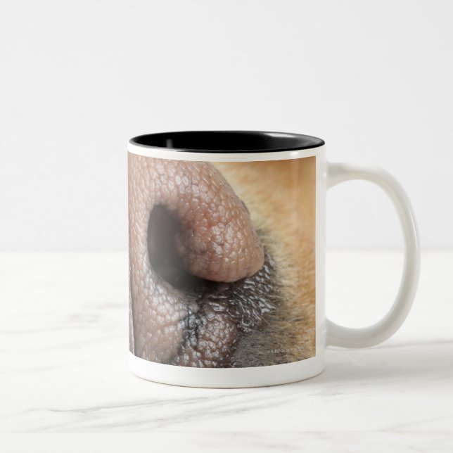 Taza Bicolor Primer extremo de una nariz de perro (Derecha)