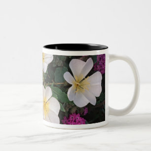 Taza Bicolor Primrose por la tarde del desierto y Verbena de ar