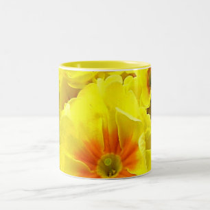Taza Bicolor Primula amarilla en primavera