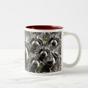 Taza Bicolor Problema del Racoon