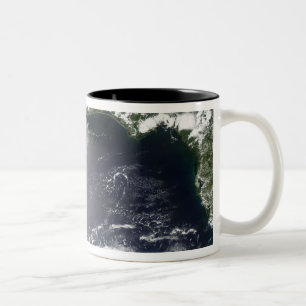 Taza Bicolor Propósito por satélite de escaparse del aceite