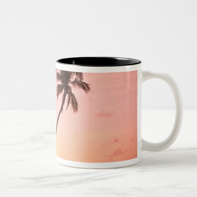 Taza Bicolor Pueblo Lewolin, Isla Illi Api, Selat Boleng (Derecha)