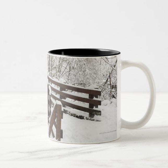 Taza Bicolor Puente de madera nevado (Derecha)