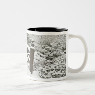 Taza Bicolor Puente lunar cubierto de nieve, Jardín Japonés