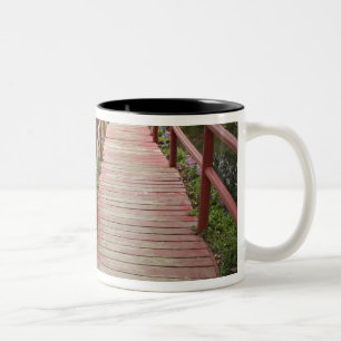 Taza Bicolor Puente rojo sobre estanque, Plantación Magnolia,