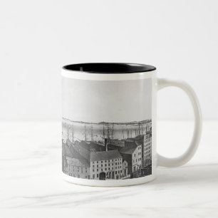 Taza Bicolor Puerto de Boston, 1854