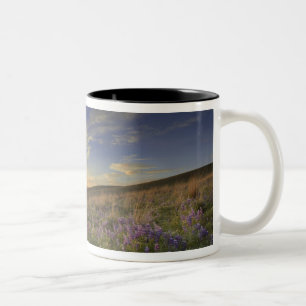 Taza Bicolor Puesta de sol sobre las montañas Bitterroot y vast