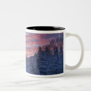 Taza Bicolor Puesta de sol vívida pinta el cielo sobre invernal