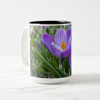 Taza Bicolor Purple Crocus Flower