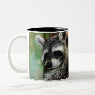 Taza Bicolor Raccoon 001