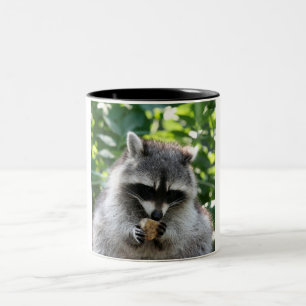 Taza Bicolor Raccoon 004