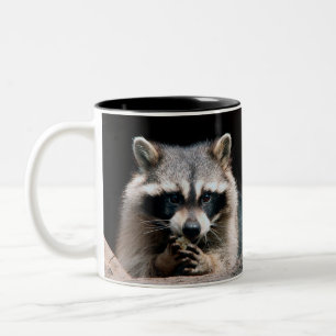 Taza Bicolor Raccoon 004