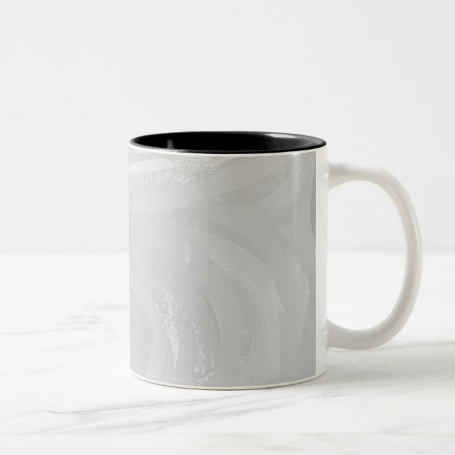 Taza Bicolor Rainy Sky Gray Swirl (Derecha)
