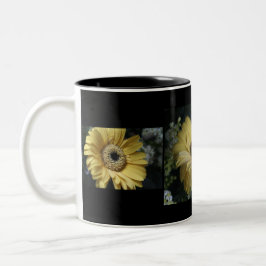 Taza Bicolor Ramo 5