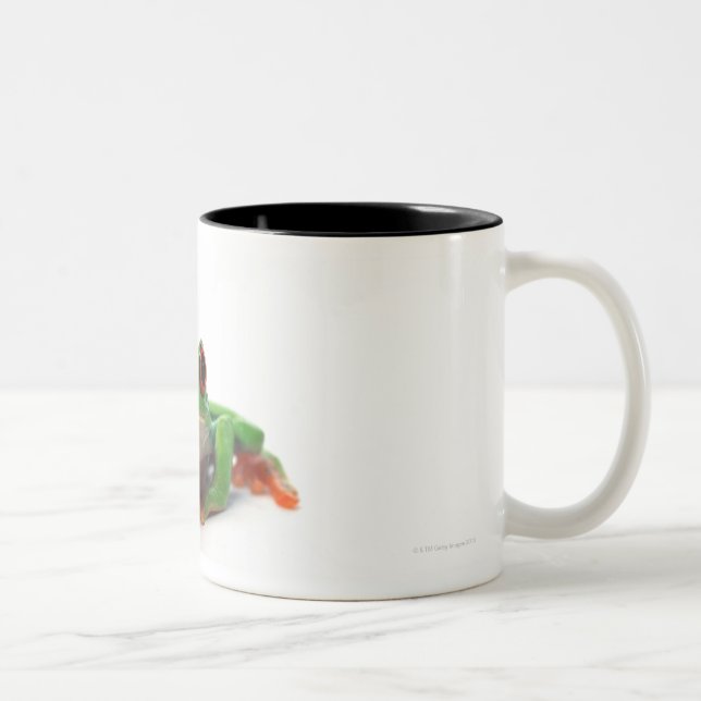 Taza Bicolor Rana arbórea observada rojo 2 (Derecha)