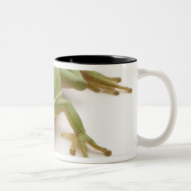 Taza Bicolor Rana arbórea verde (Derecha)