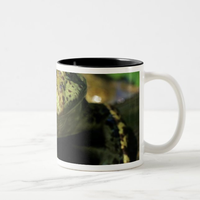 Taza Bicolor Rana toro. (Derecha)