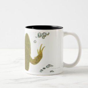 Taza Bicolor rana verde común