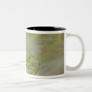 Taza Bicolor Rana y pétalo de flor de loto, China,