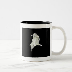 Taza Bicolor Raven