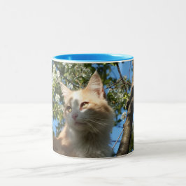 Taza Bicolor Recogida de gato en Sahara alrededor de Mug