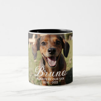 Taza Bicolor Recuerdo Personalizado de Mascota