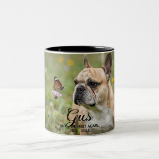 Taza Bicolor Recuerdo Personalizado de Mascota