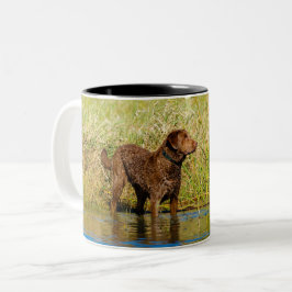 Taza Bicolor Recuperador de la bahía de Chesapeake cazando café