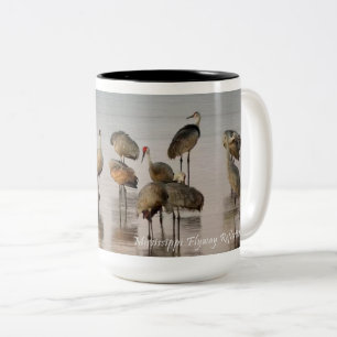 Taza Bicolor Reflexiones de la autopista: Grúa de Sandhill