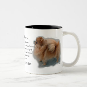 Taza Bicolor Regalos de amantes de Pomerania