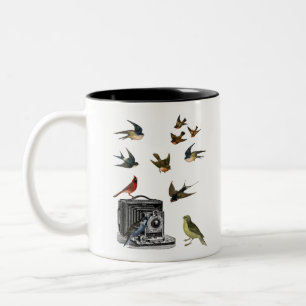 Taza Bicolor Regalos de observación de aves ornitólogo twitch