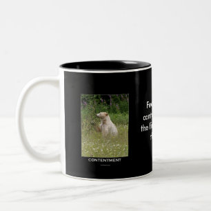 Taza Bicolor Regalos de oso espiritual