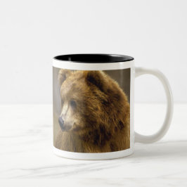 Taza Bicolor Regalos de oso marrón