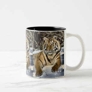 Taza Bicolor Regalos del arte de los amantes del tigre