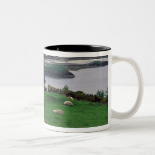Taza Bicolor Reino Unido, Escocia, Isla de Skye, antiguo
