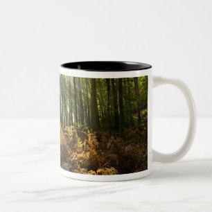 Taza Bicolor Reino Unido, Inglaterra. Rayos de sol que se filtr
