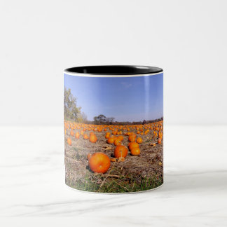 Taza Bicolor Remiendo-taza de la calabaza