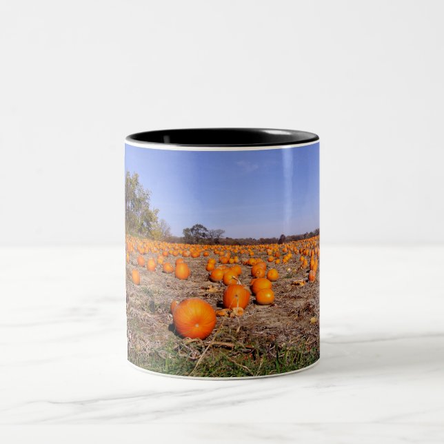 Taza Bicolor Remiendo-taza de la calabaza (Centro)