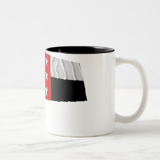 Taza Bicolor República de la bandera del Rio Grande