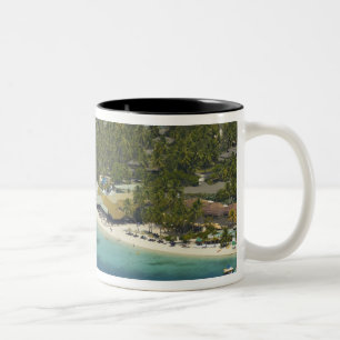 Taza Bicolor Resort Plantation Island, isla Malolo Lailai