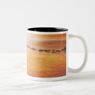 Taza Bicolor Retraso