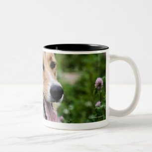 Taza Bicolor Retrato al aire libre del perro que se acuesta en