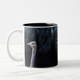 Taza Bicolor retrato de avestruz