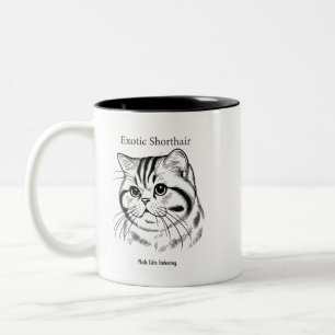 Taza Bicolor Retrato de Exótico de Pelo Corto