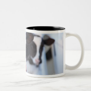 Taza Bicolor Retrato de la vaca