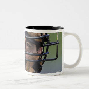 Taza Bicolor Retrato de llevar del árbitro del béisbol