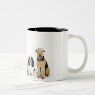 Taza Bicolor Retrato de los gatos y de los perros que se