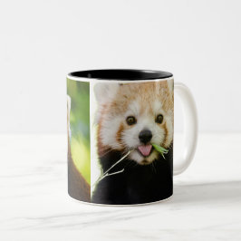 Taza Bicolor Retrato de Panda Rojo Adorable